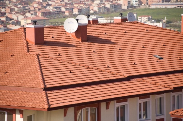 cati 5